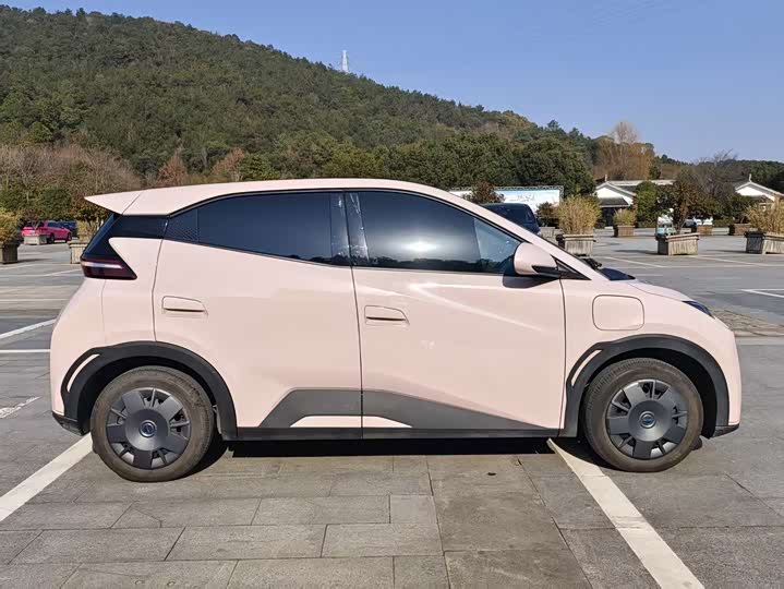 Фото 4 - BYD Seagull