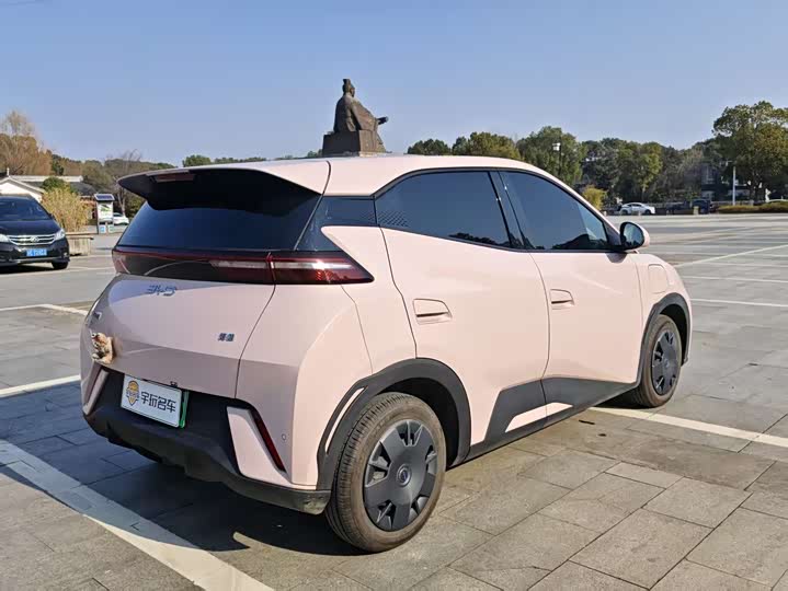 Фото 5 - BYD Seagull