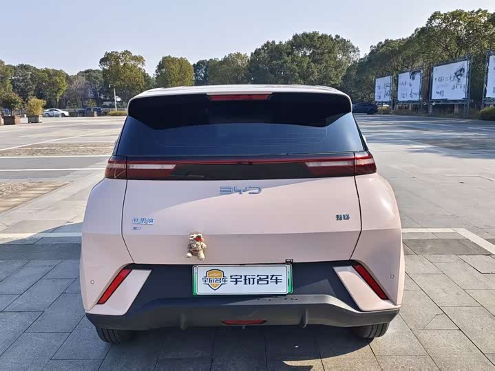 Фото 6 - BYD Seagull