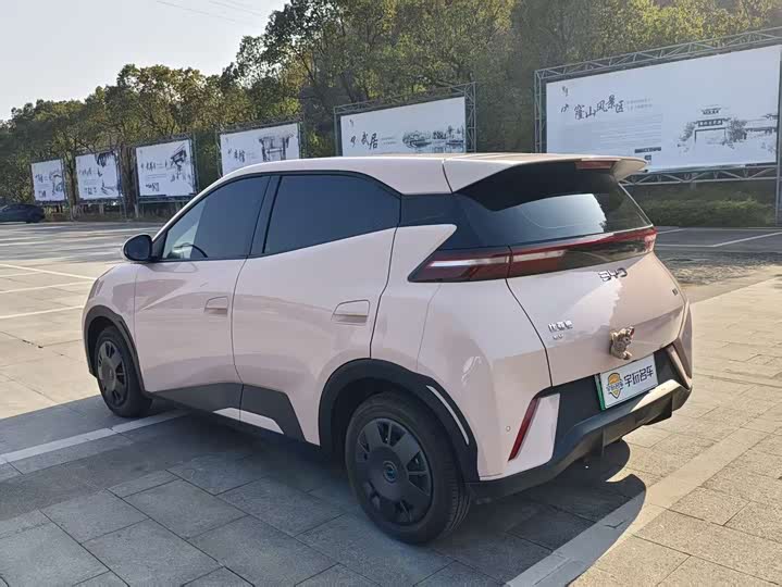 Фото 7 - BYD Seagull