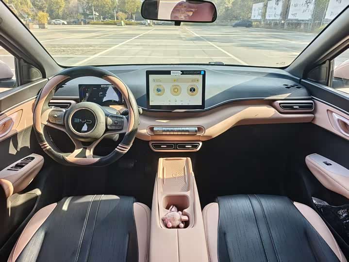 Фото 8 - BYD Seagull