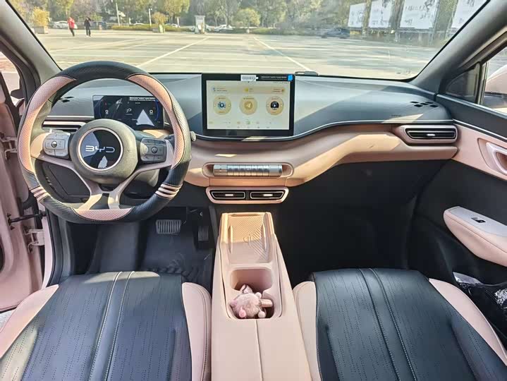 Фото 9 - BYD Seagull