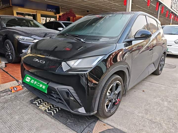 Фото 2 - BYD Seagull