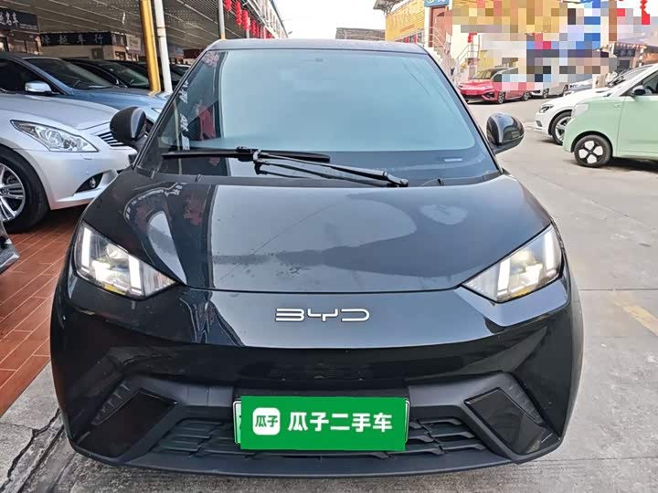 Фото 3 - BYD Seagull