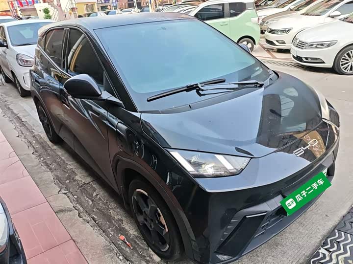 Фото 4 - BYD Seagull