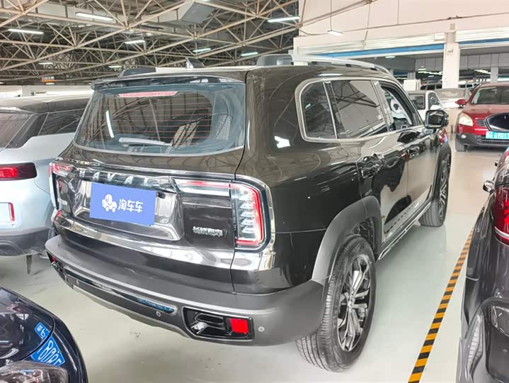 Фото 3 - Haval Dargo