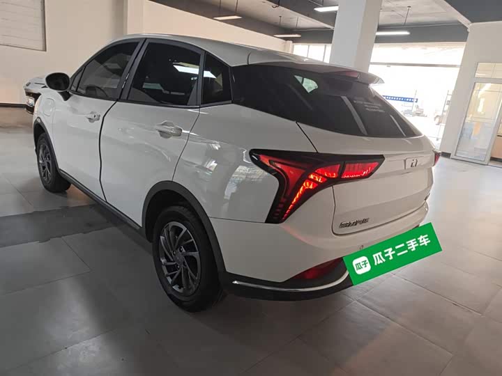 Фото 5 - Hozon V