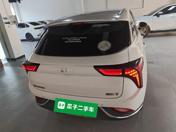 Фото 6 - Hozon V