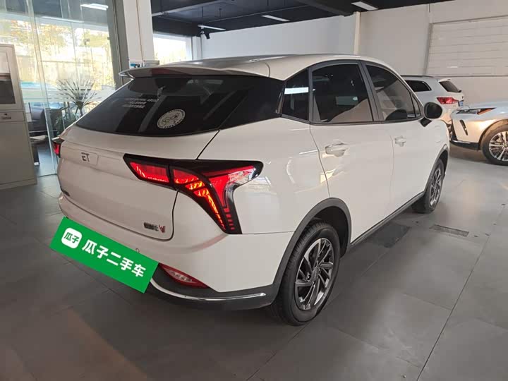 Фото 7 - Hozon V