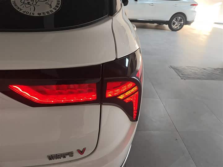 Фото 8 - Hozon V