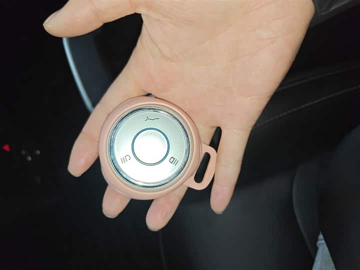 Фото 9 - Hozon V