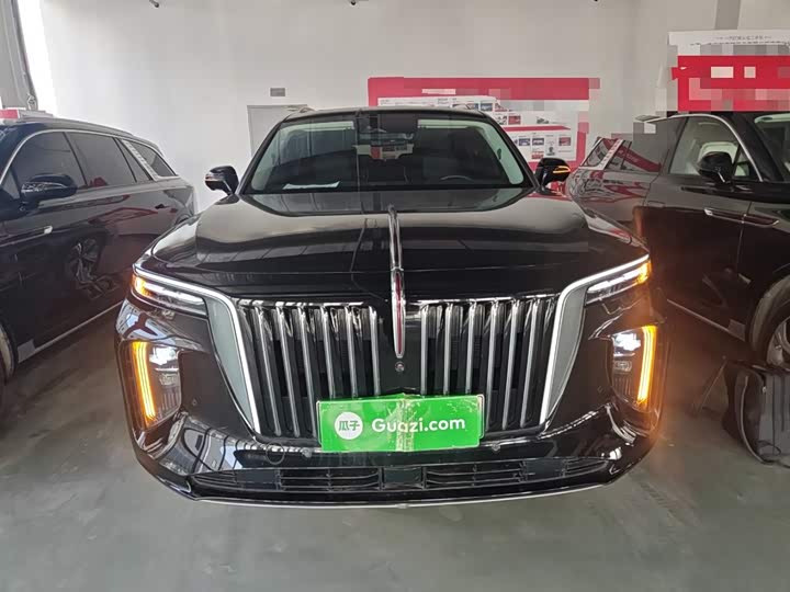 Фото 3 - Hongqi E-HS9