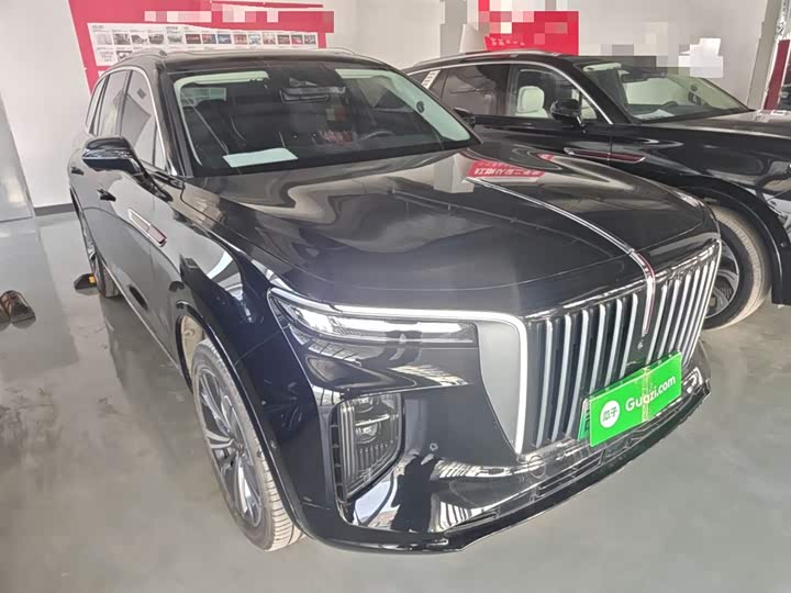 Фото 4 - Hongqi E-HS9