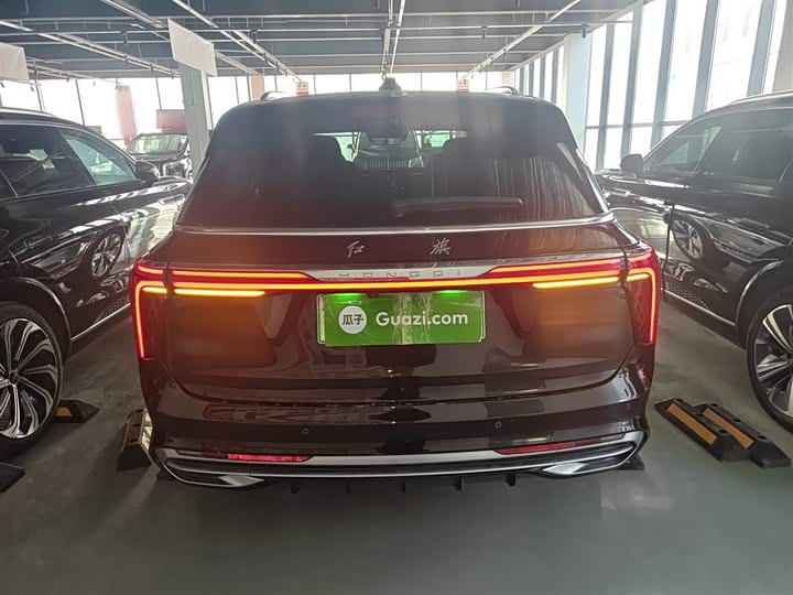 Фото 6 - Hongqi E-HS9