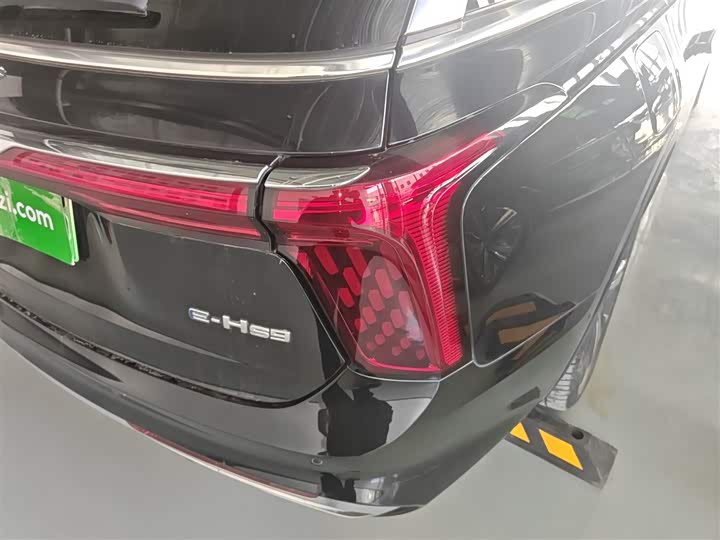 Фото 8 - Hongqi E-HS9