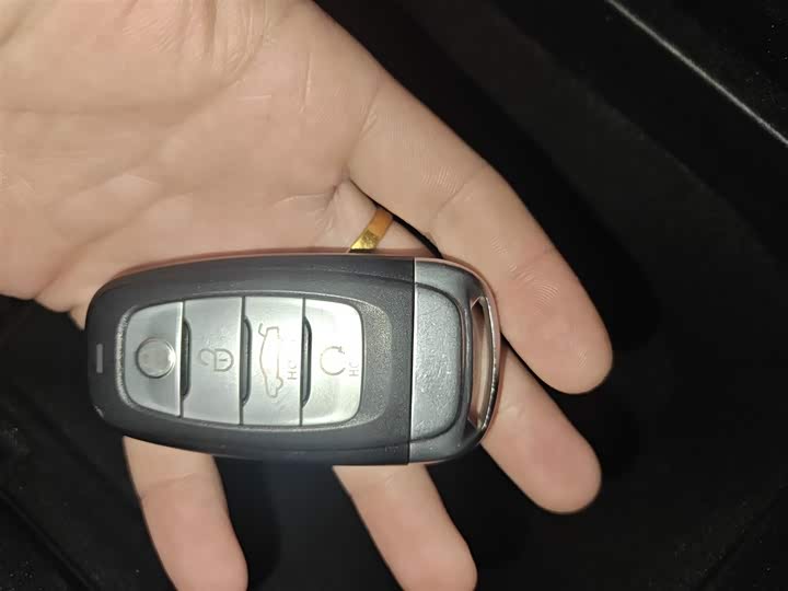 Фото 9 - Hongqi E-HS9