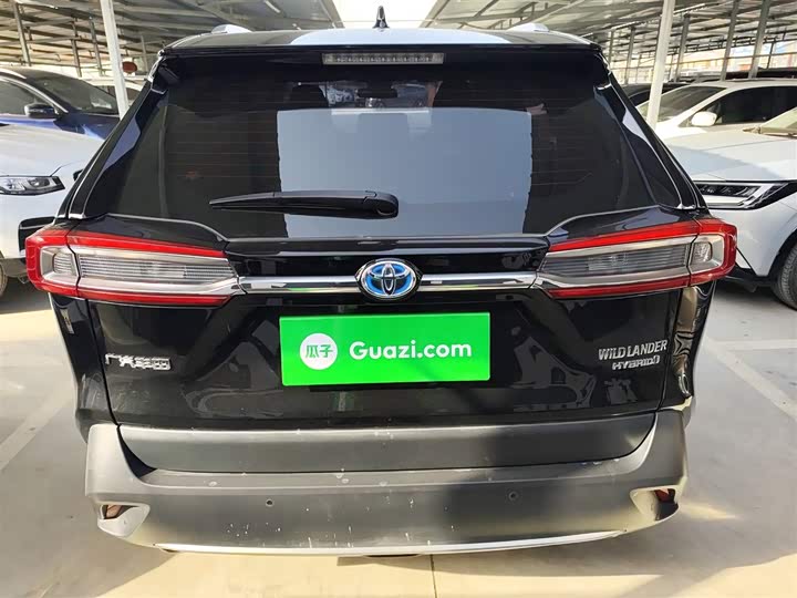 Фото 6 - Toyota Wildlander