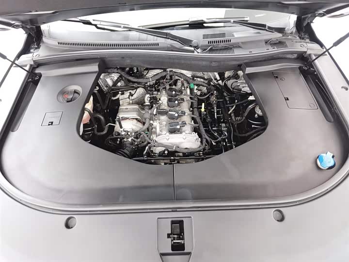 Фото 6 - Hongqi HS7