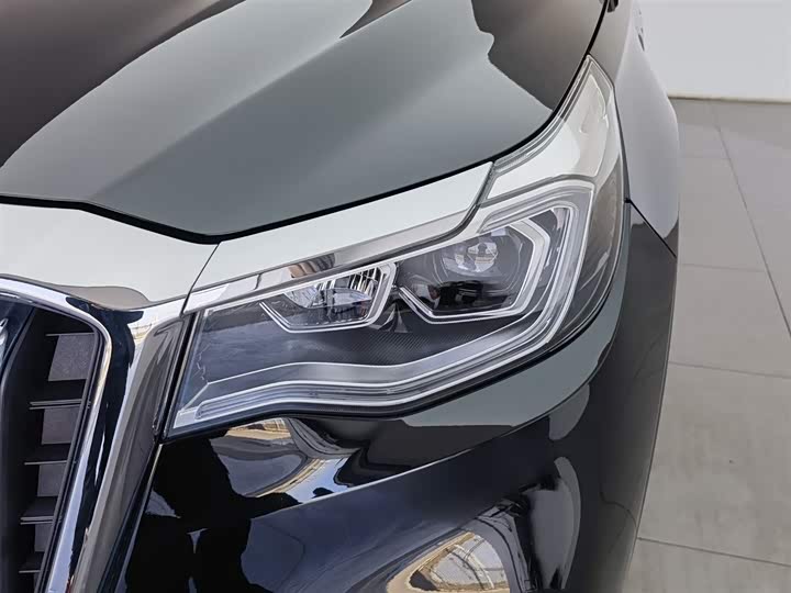 Фото 7 - Hongqi HS7