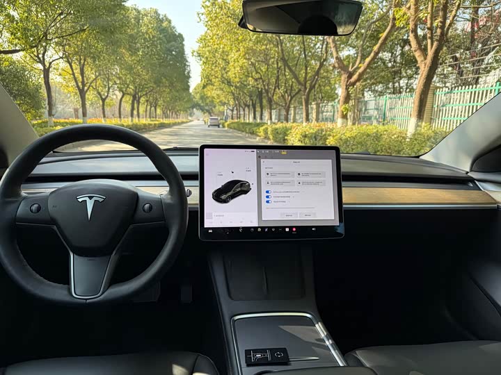 Фото 5 - Tesla Model 3