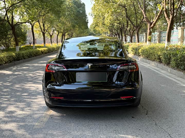 Фото 8 - Tesla Model 3