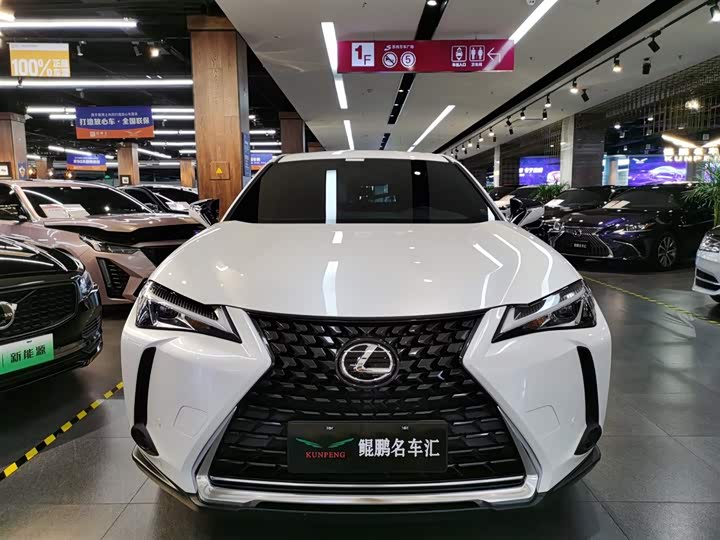 Фото 2 - Lexus UX