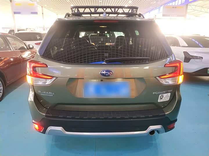 Фото 6 - Subaru Forester