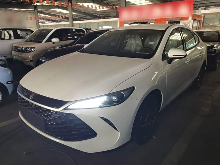 Фото 2 - BYD Qin Plus