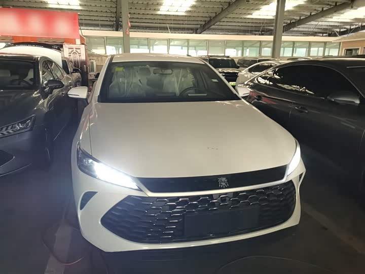 Фото 3 - BYD Qin Plus