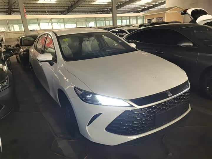 Фото 4 - BYD Qin Plus