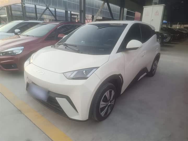 Фото 2 - BYD Seagull