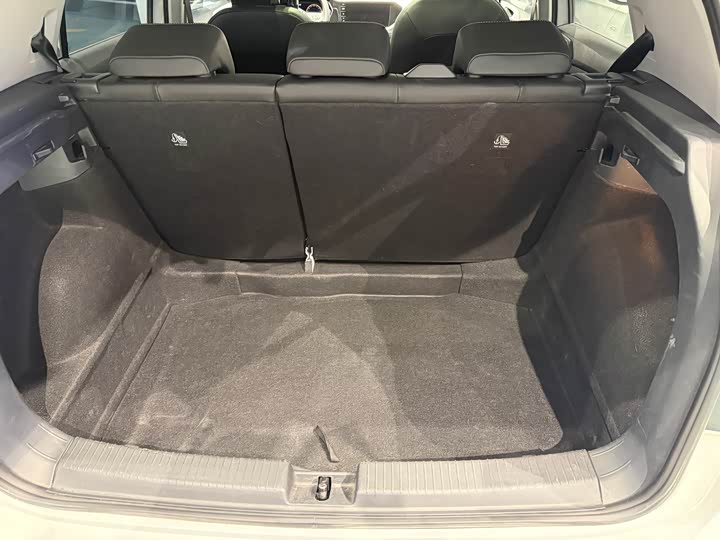 Фото 6 - Volkswagen Tacqua