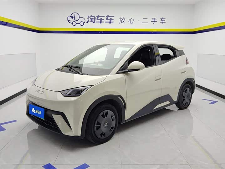 Фото 1 - BYD Seagull