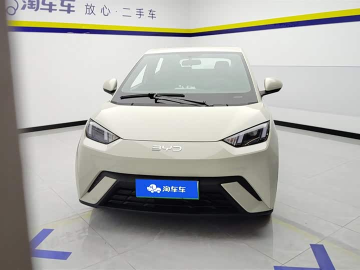 Фото 2 - BYD Seagull