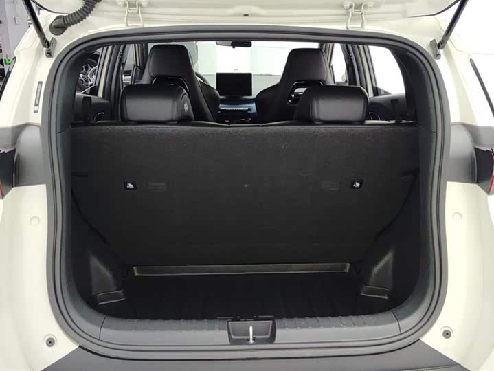 Фото 4 - BYD Seagull