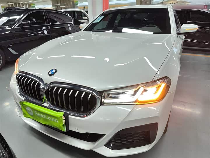 Фото 3 - BMW 5 Series Hybrid