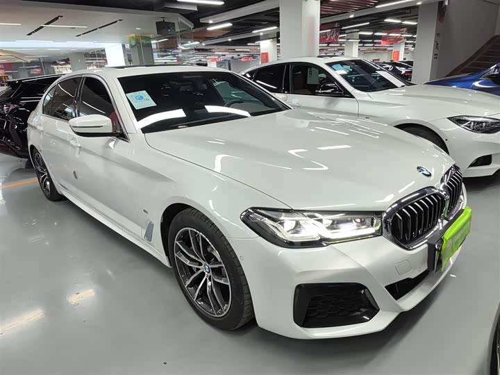 Фото 4 - BMW 5 Series Hybrid