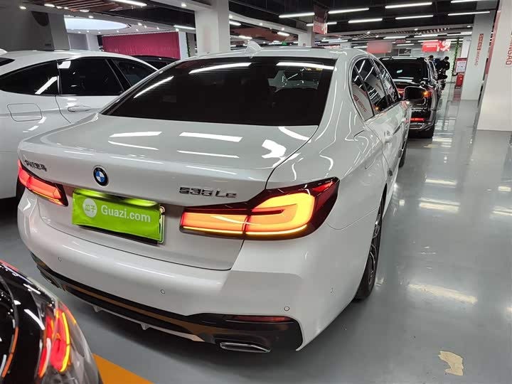 Фото 6 - BMW 5 Series Hybrid