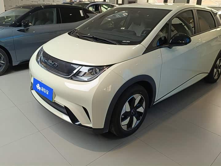 Фото 1 - BYD Dolphin
