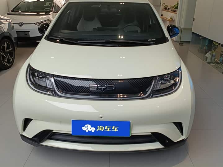 Фото 2 - BYD Dolphin