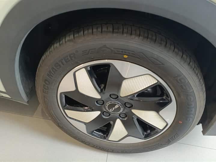 Фото 6 - BYD Dolphin