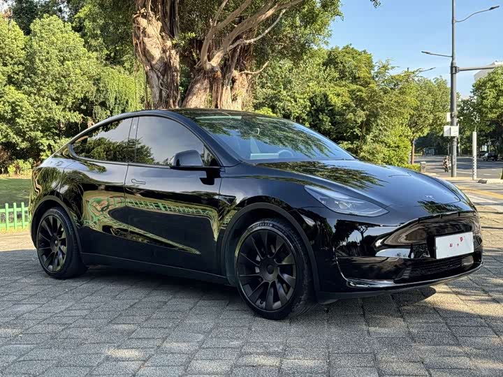 Фото 3 - Tesla Model Y