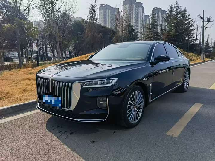 Фото 1 - Hongqi H9