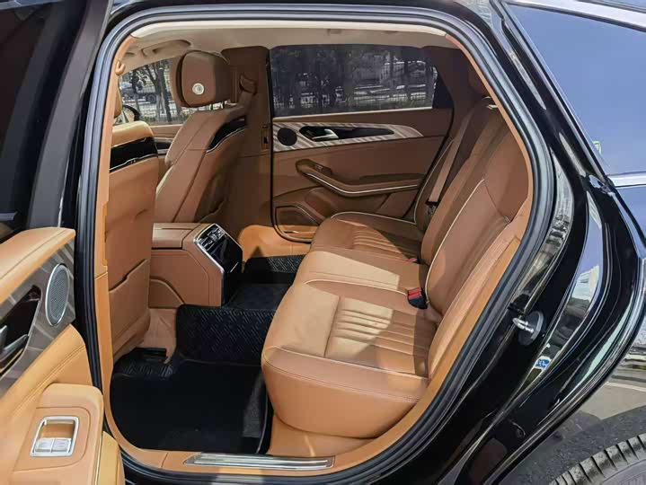 Фото 6 - Hongqi H9