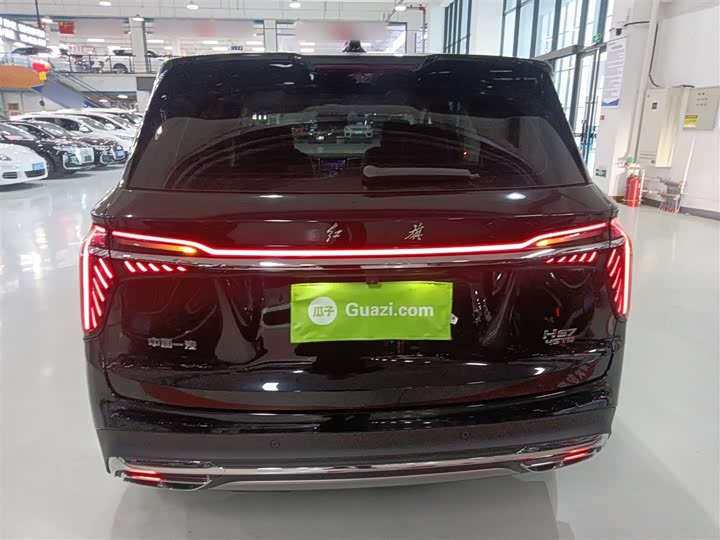 Фото 6 - Hongqi HS7