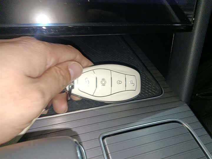 Фото 9 - Hongqi HS7