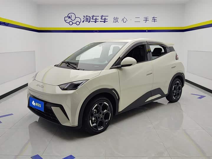 Фото 1 - BYD Seagull