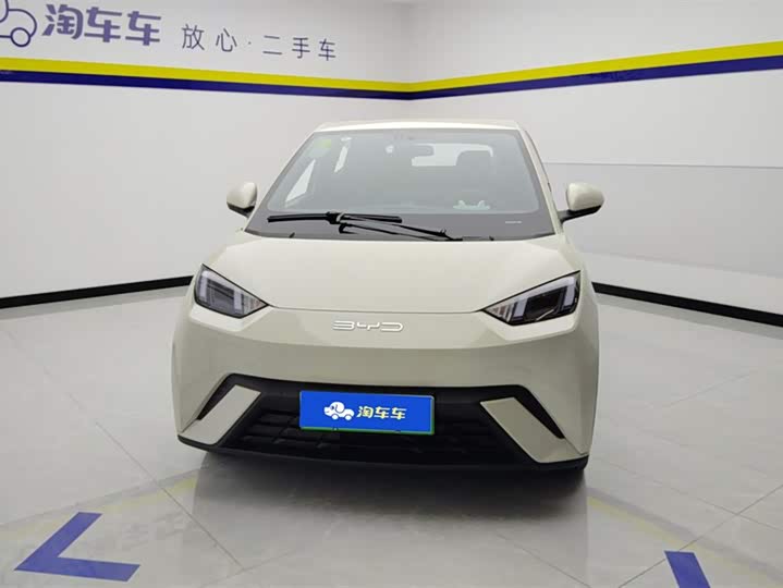 Фото 2 - BYD Seagull