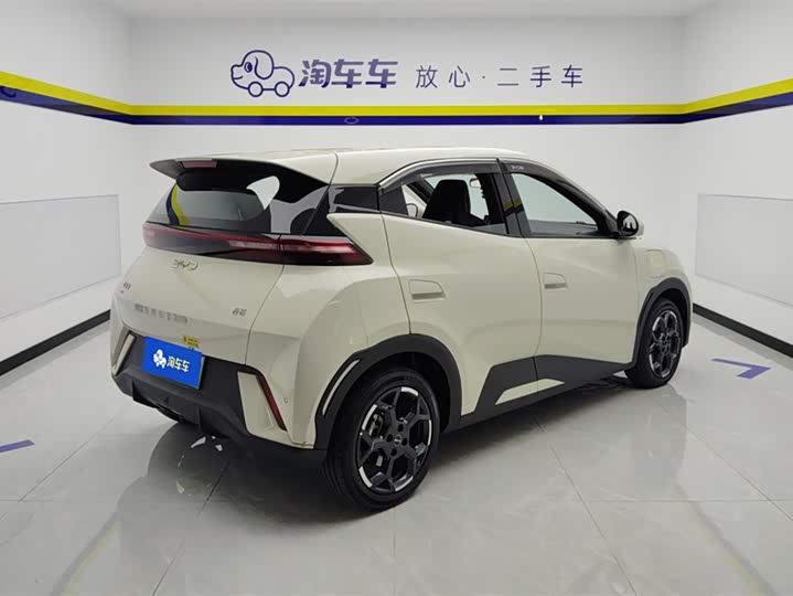 Фото 3 - BYD Seagull