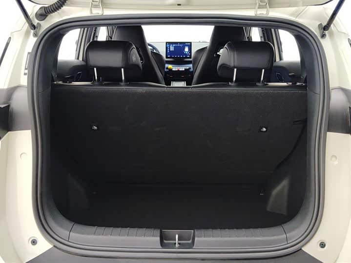 Фото 4 - BYD Seagull